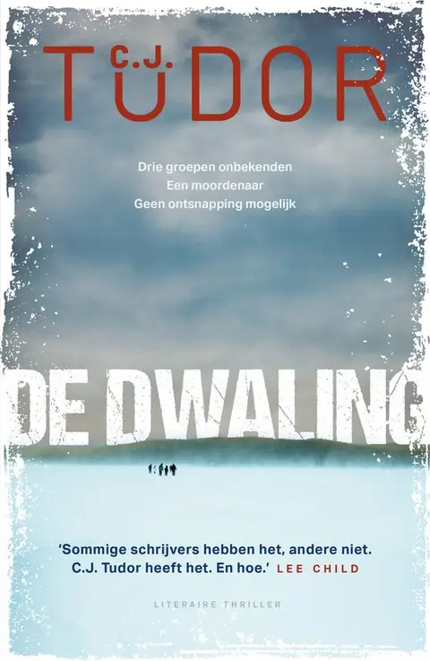 Omslag van De dwaling
