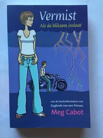 Omslag van Als de bliksem inslaat