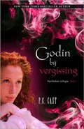Omslag van Godin bij vergissing