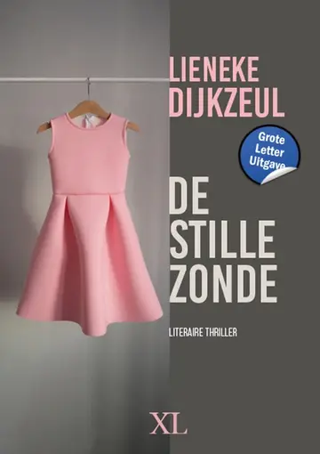 Omslag van De stille zonde