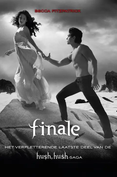 Omslag van Finale