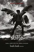 Omslag van Stilte