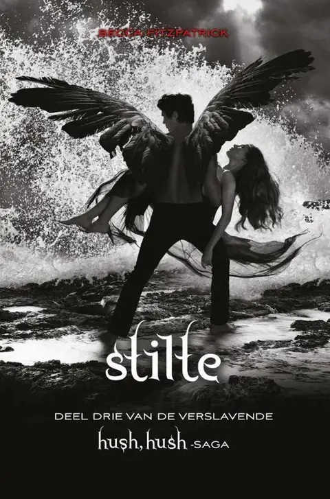 Omslag van Stilte